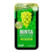10%蝦幣回饋～日本 Asahi MINTIA 清涼糖🔹薄荷糖 口含錠 果汁口味 朝日 隨身糖 現貨