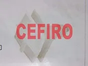 NISSAN 西米露 CEFIRO 戶定飾板固定扣 側裙固定扣 戶定飾條固定扣 戶定扣 側裙扣 門下飾條固定扣 歡迎詢問 