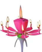 煙火蠟燭 大學生了沒推薦 荷花音樂生日蠟燭 ＊音樂蠟燭 生日派對 生日蛋糕 非浪漫告白煙火.旋轉音樂蠟燭特別生日蠟燭
