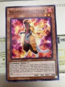 ［情侶卡舖］亞英 SDSS-AE004 轉生炎獸 狐濛（普卡）轉生炎獸 預組