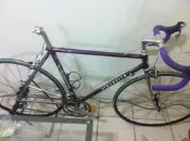 最後一降!![義大利]/鋼管車PINARELLO-ASOLO(全套Shimano Dura Ace 7700九速套件)