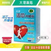 杏輝 活芯升級版軟膠囊 60粒/盒 ECNS松果菊苷 Q10 維生素B1 維生素E》大墩藥局