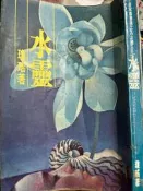 《 水靈 問斜陽   瓊瑤 》  皇冠 【小熊家族】