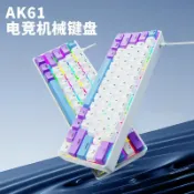 臻選時刻 【RGB插拔軸】機械鍵盤 有線鍵盤 青軸鍵盤 紅軸鍵盤 遊戲鍵盤 辦公鍵盤 迷你鍵盤 61鍵 熱插拔 便攜設計 商務家用