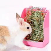 (店+)DC寵物現貨秒出🐾兔子草架 草架 牧草架 固定 彈簧草架 兔子 天竺鼠 龍貓等 小動物草架 防撥草草架 牧草盒B031