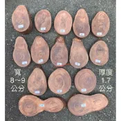 台灣櫸【紅雞油】原木年輪木片/隔熱墊茶壺墊湯鍋墊/藝品盆景奇石陶藝擺設底座/置物架/木質墊片/雕刻裝飾用材