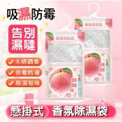 台灣現貨+發票✨香氛除濕袋✨香氛袋 可掛除濕袋 除濕包 除濕 除濕劑 防潮防霉包 衣櫃除濕劑 防潮除溼 衣櫃芳香劑