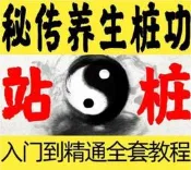 《秘傳養生站樁功—入門到精通教程》34集視頻+13集音頻+電子檔資
