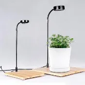 定時款 10W原木底座LED植物燈-小17cm (全光譜/自然光)