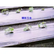 *含稅《驛新五金》銀黑布 防草覆蓋膜 草莓布 鳳梨布 西瓜布 PE塑膠膜 覆蓋布 PE膜 種植膜 台灣製