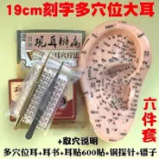耳朵穴位模型耳部耳穴貼套裝鍼灸耳穴壓豆砭石貼耳模教學中醫耳診