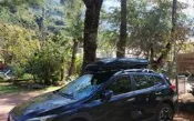 Thule WingBar Edag 958系列車頂橫桿 +車頂箱 Thule Dynamic 800M  320L