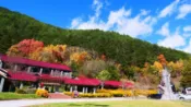 【Lion Travel 雄獅旅遊】福壽山＆武陵雪白梅花季．最高折$1000｜合歡山.松雪樓.雲端教堂.桃山瀑布.櫻緣花徑.賞櫻花前哨戰.入住福壽山農場3日｜員林台中出發 出發地點：彰化、台中