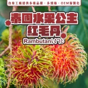 液態氮升級-冷凍紅毛丹_泰國水果公主 500克/包(約11-14顆)