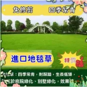 【草坪種子】☛600克☛進口地毯草種子 矮生草坪種子 四季青 果嶺草 台灣青 免修剪草坪草籽護坡草皮種籽四季庭院耐寒四季