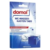 (店+)【Domol 多麗】Domol 多麗 藍藍香馬桶清潔塊(2個/盒) (長效/除臭)