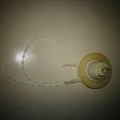 {小葉家}HCG 兩段式水箱落水皮
