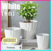 💚花盆💚八角花盆陶瓷簡約白色大碼落地便宜室內盆栽2021新款金錢樹虎皮蘭