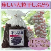 預購｜日本 超大粒巨峰葡萄乾370g