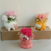 草尼馬永生康乃馨盆花  母親節花束盆花送禮物盒蛋糕卡片畢業生日