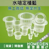 (店+)水培定植籃 水培籃 無土栽培 水耕植物 水耕 水培 魚菜共生 園藝 水培固根器【HOMEDEN霍登園藝】
