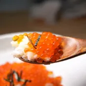 (店+)【小嚼士】日本原裝醬油漬鮭魚卵 280g(日本鮭魚卵 鮭魚卵壽司 鱒魚卵 鮭魚 真鮭魚卵)