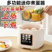 米家優選🏆 可24小時預約 上蒸下煮 免看管 多功能迷你煮蛋器 110V早餐機蒸蛋器 溏心蛋 智能煮蛋機 防乾燒斷電保