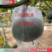 🔥【鯨落優選】加密防蟲防蠅套袋葡萄西瓜冬瓜火腿臘肉香腸水果套袋加密專用網袋 水果套袋 紗袋 雪紗袋 束口紗網袋 防蟲袋