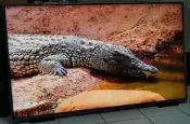 ⭕ LG 原裝電視 60吋型 偏光式 CINEMA 3D 智能電視 60LB6500