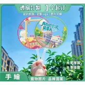 客製化透扇 扇子 迷你透扇  應援扇子 小扇子訂製 景區打卡透明扇定製文旅推廣扇子學校招生宣傳透扇明星應援迷你扇