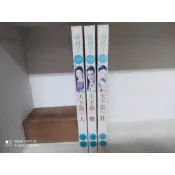 小說  花裙子系列   天下第一   3本 / 連盈