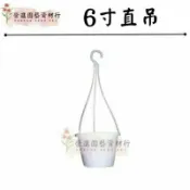 6寸直吊盆 吊盆 黃金葛吊盆 垂吊植物吊盆 蕨類盆 【榮進園藝資材】