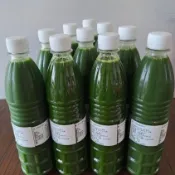 現榨甘蔗牧草汁--雞羊共生/無農藥化肥