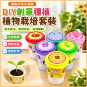 「領跑科學小實驗」DIY創意種植 童植物栽培套裝鳳仙花小黃瓜牽牛花番茄波斯菊向日葵