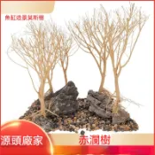 一木成景【新莊/五股/青島水族】默絲 墨思 默絲 莫斯 莫思 莫絲 小樹木 造景木 樹林 莫絲木 沉木 紫柚木 象牙木