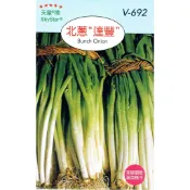 種子王國 北蔥【蔬果種子】 北蔥“達豐“  天星牌 彩色包裝 小包裝種子 原包裝種子