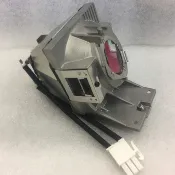 優派ViewSonic投影機原廠燈泡帶架燈組RLC-117適用PX727-4K / PX747-4K /VS17058