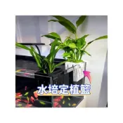 (店+)水培定植籃 定植杯 水草籃 固定籃 水培盆 水培籃 水耕盆栽 水耕植物盆 魚菜共生 無土栽培 水耕栽培盆 培育魚苗 掛盆