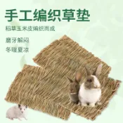 🔥48H出貨 【趴趴草墊】草墊 兔子小寵草墊 牧草墊 天然牧草 寵物腳墊 兔子腳墊 稻草草墊