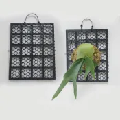 (店+)【威揚購物】鹿角蕨植板 植床板 特大號10*8格 鹿角蕨板(附掛鉤帶螺絲 植物板 蕨類上板神器 塑膠透氣板)