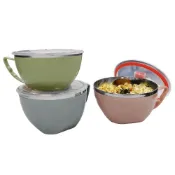 (店+)Camp Plus 304韓式泡麵碗 900/850/600ml 附蓋 多色 悠遊戶外