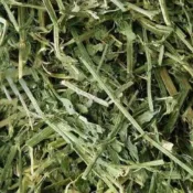 兔子 天竺鼠 天然分裝牧草 苜蓿草 燕麥草  夾鏈袋裝