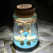 【A-ONE 匯旺】2隻展翅天鵝 室內植栽瓶 含2顆綠藻 白光LED 150ml布丁杯 DIY綠藻球玻璃瓶