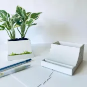 島人手作【桌上的綠植溜滑梯 l 白金葛名片架】便條紙便利貼文具收納座 療癒盆栽 室內植栽綠植 升遷賀禮生日禮物情人節禮物