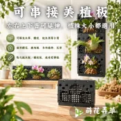 發票現貨~美植板 蘭花牆 可拼接 美植板 石斛蘭板 蛇木板 植生板 蘭花板 植生牆 蕨類植物 蘭花 鹿角蕨