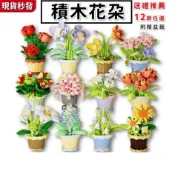 現貨 永生花 精緻 盆栽 積木花束 微型積木 百合花 玫瑰花 店面擺設 向日葵康乃馨 生日禮物 交換禮物益智玩具積木玩具