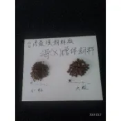 高雄觀鯉水族)海X牌隱藏款錦鯉，花羅漢比賽魚專用強力增體飼料