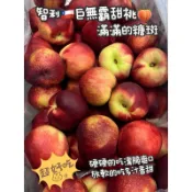 進口智利糖斑甜桃/脆桃👉甜蜜🥰的口感