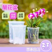 高腳控根盆 空氣柱 控根盆 蘭花盆 透明盆栽容器 斑葉 合果芋 龜背芋 觀音蓮 彩葉芋 觀葉植物專用盆 ZT官方旗艦店