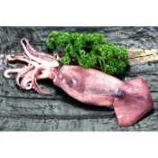 【年菜組合】魷魚冰卷(大)約約160g±5g/隻/ 去肚除墨的魷魚冰卷~熟凍鎖住鮮甜~肉質爽脆彈牙~解凍切片即可食用